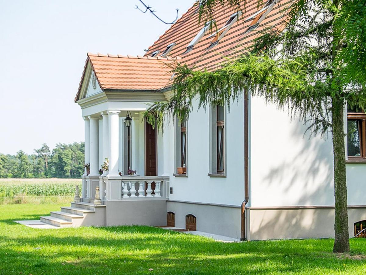 Ksiaz Wielkopolski Dwor Gogolewo Nad Warta Bed & Breakfast エクステリア 写真